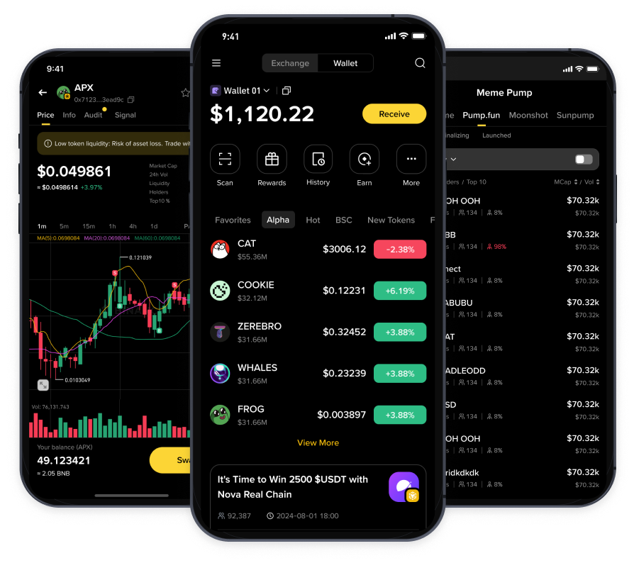 Binance Wallet multi-screen overview